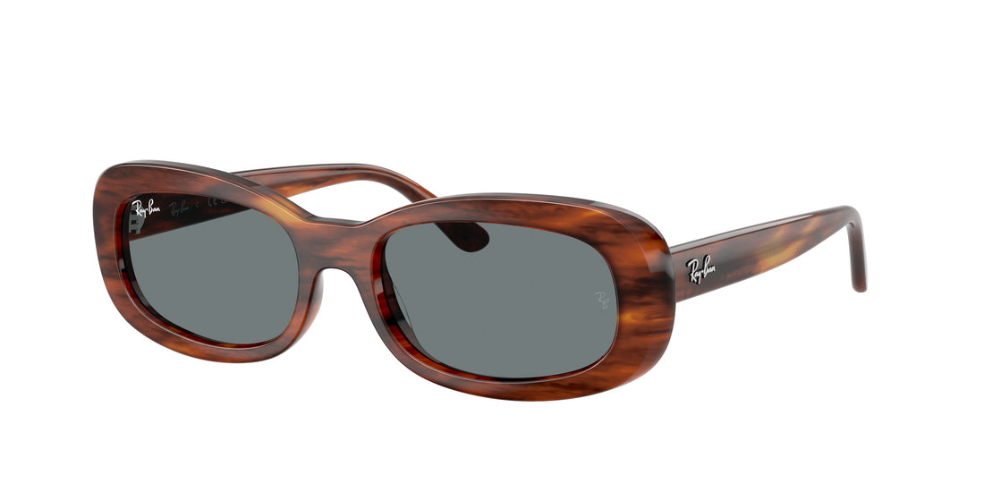Sunglasses ray-ban rb2221 954/62 marron oval femenino size 53mm - Main view