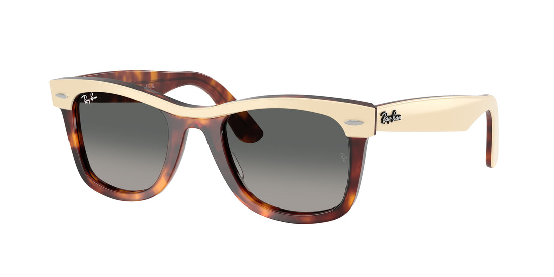 Sonnenbrillen ray-ban rb2240 wayfarer 144371 marron square unisex größe 50mm - Hauptansicht