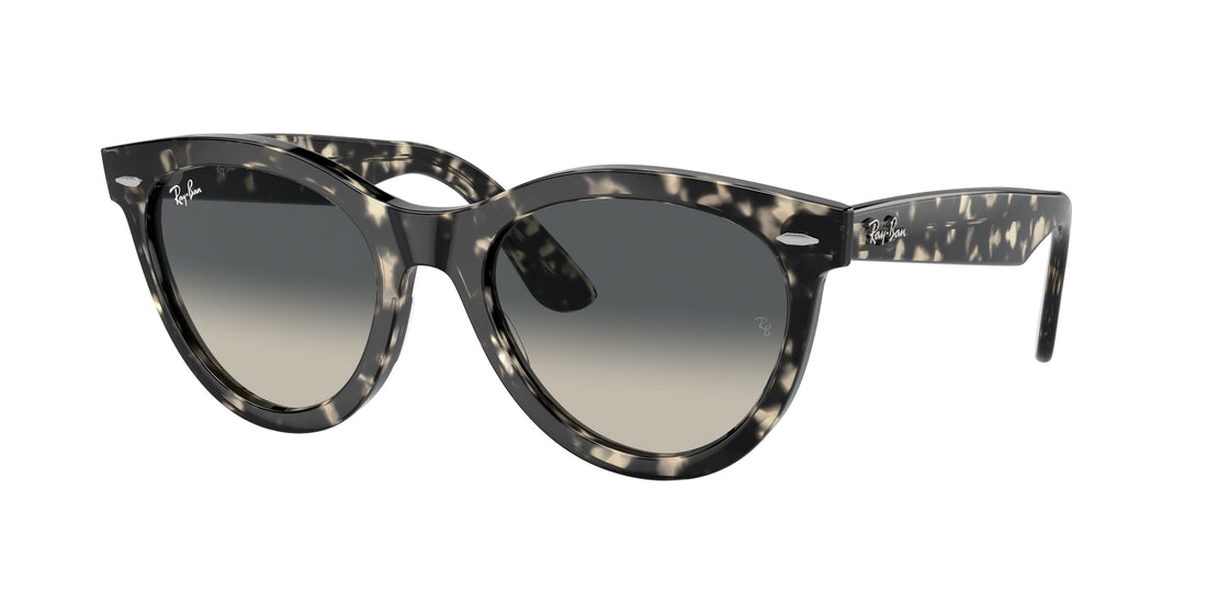 Sonnenbrillen ray-ban rb2241 wayfarer way 133371 gris round unisex größe 51mm - Hauptansicht