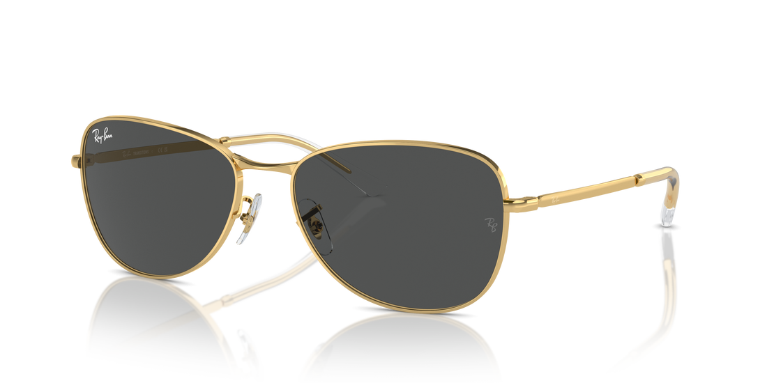 RAY-BAN RB3733 001/GH 59 - 14