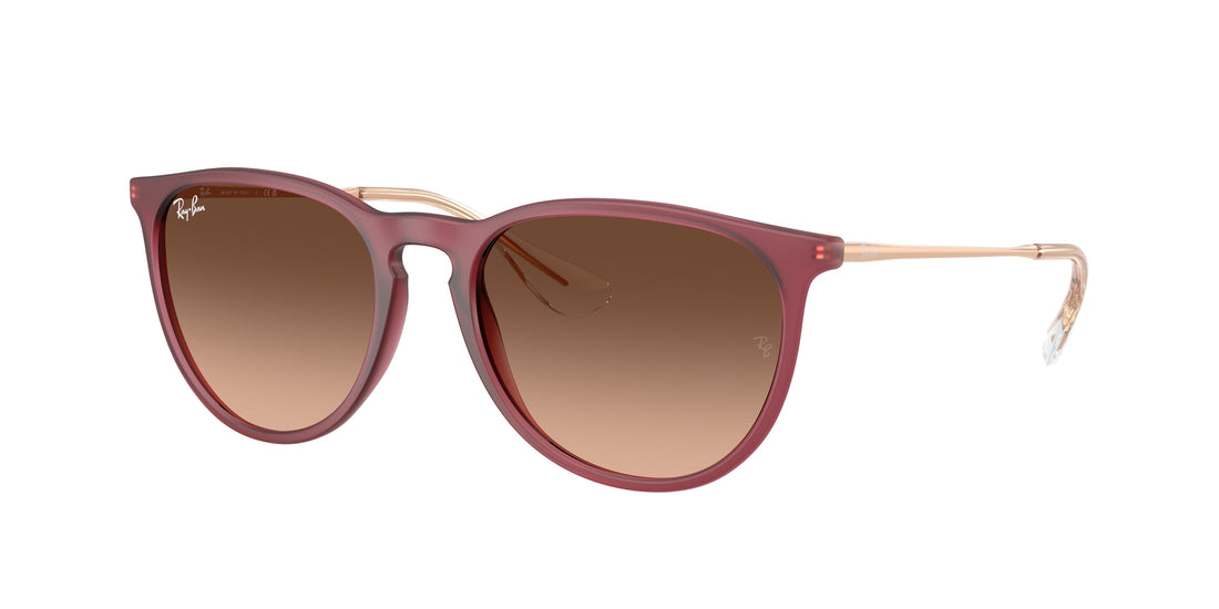 Lunettes de soleil ray-ban rb4171 erika 6815a5 violeta pantos femenino taille 54mm - Vue principale