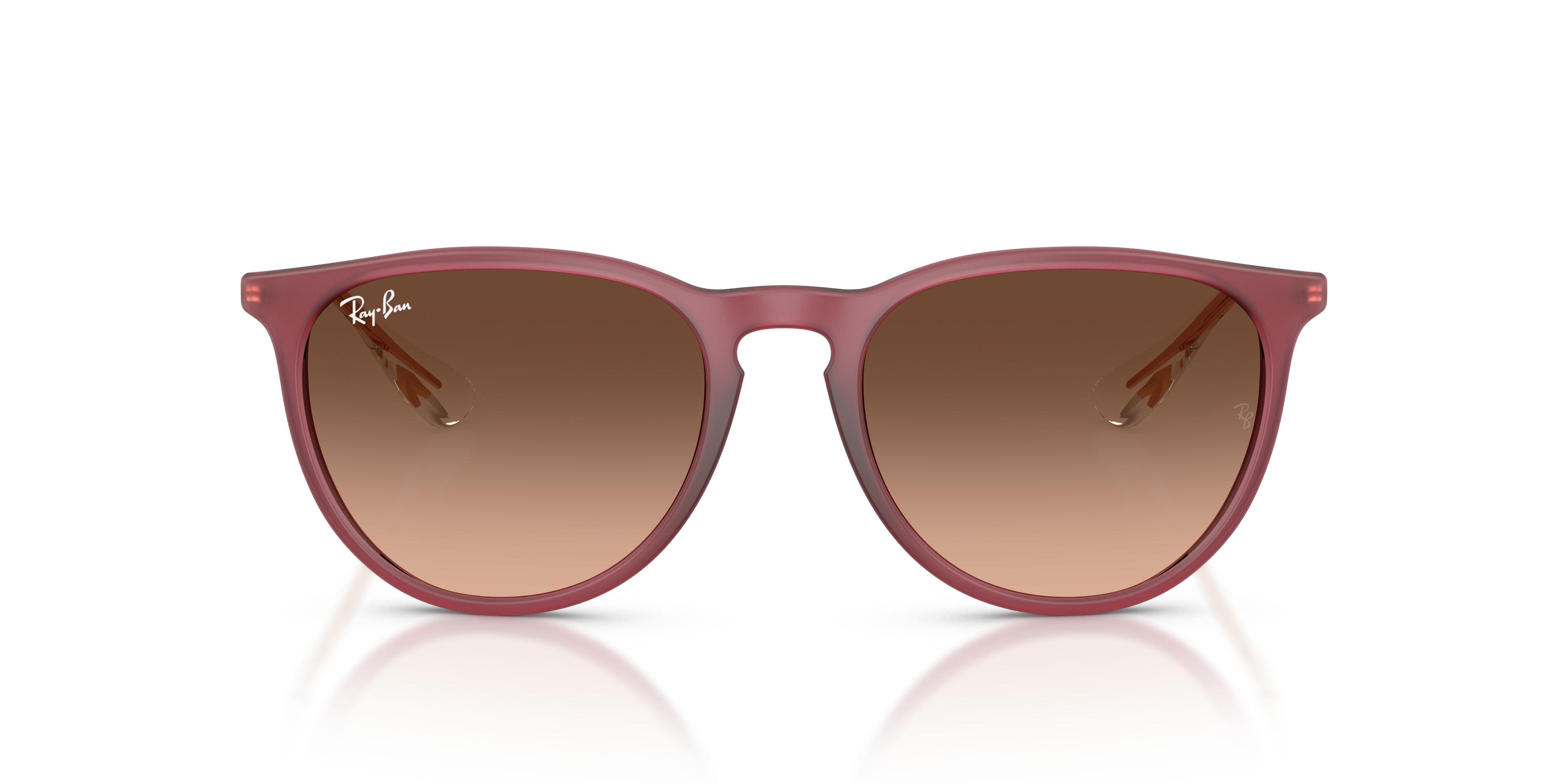 RAY-BAN RB4171 ERIKA 6815A5 54