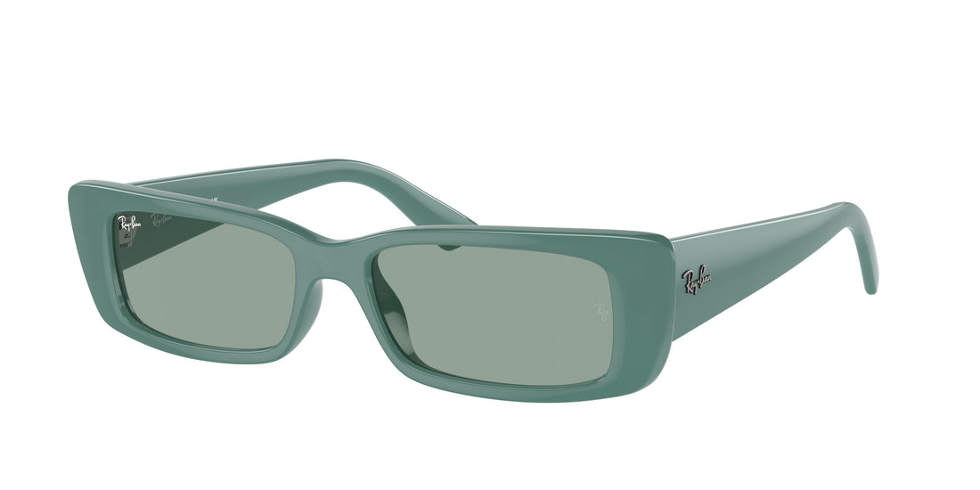 Sonnenbrillen ray-ban rb4425 teru 676282 unisex größe 54mm - Hauptansicht
