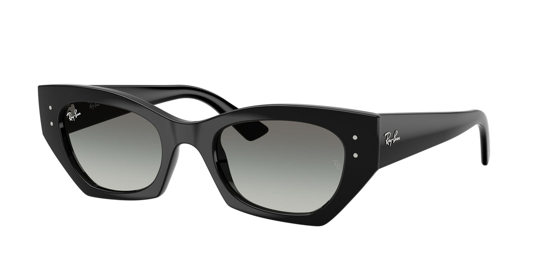 Gafas de sol ray-ban rb4430 zena 667711 negro irregular unisex talla 49mm - Vista principal