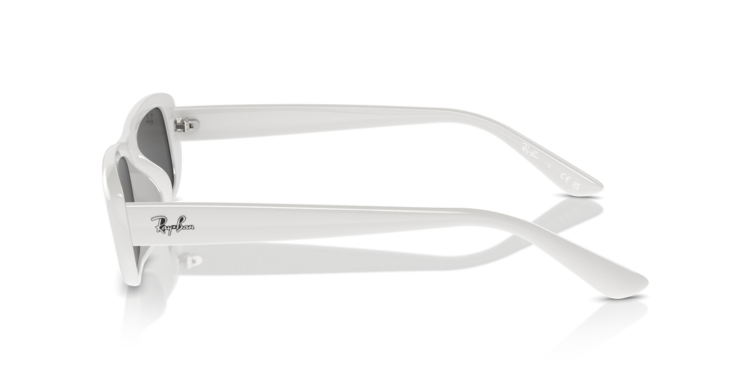 RAY-BAN RB4436D 677287 55