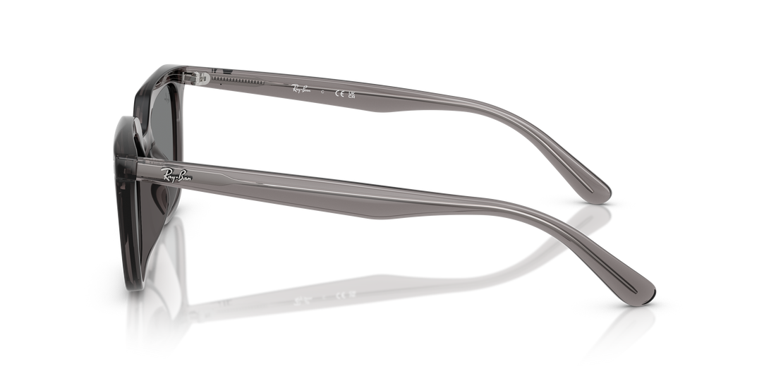 RAY-BAN RB4439D 667587 54