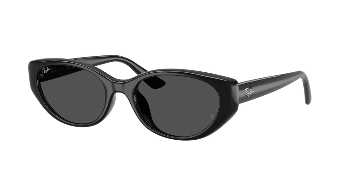Óculos de sol ray-ban rb4457d 667787 negro pillow unisex tamanho 55mm - Vista principal