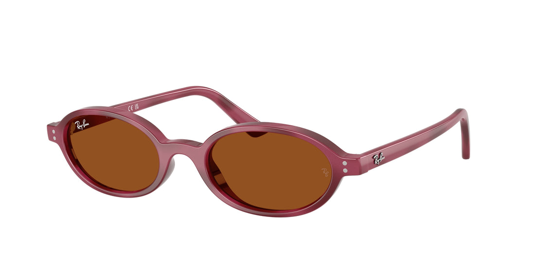 Lunettes de soleil ray-ban rb4472 685773 violeta oval unisex taille 48mm - Vue principale