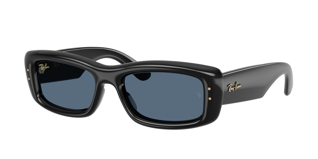 Gafas de sol ray-ban rb4944 601/80 negro pillow unisex talla 55mm - Vista principal