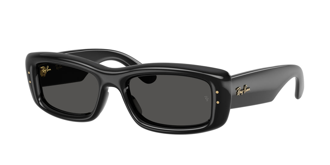 Gafas de sol ray-ban rb4944 601/87 negro pillow unisex talla 55mm - Vista principal