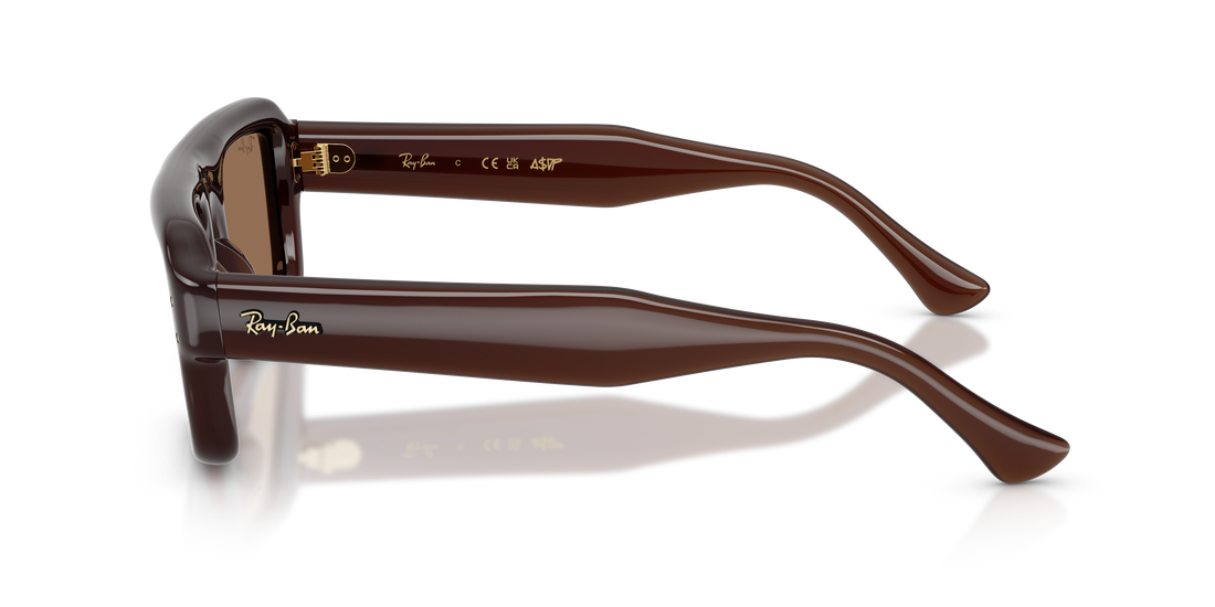 Gafas de sol ray-ban rb4954 689673 marron pilot unisex talla 54mm - Vista de detalle
