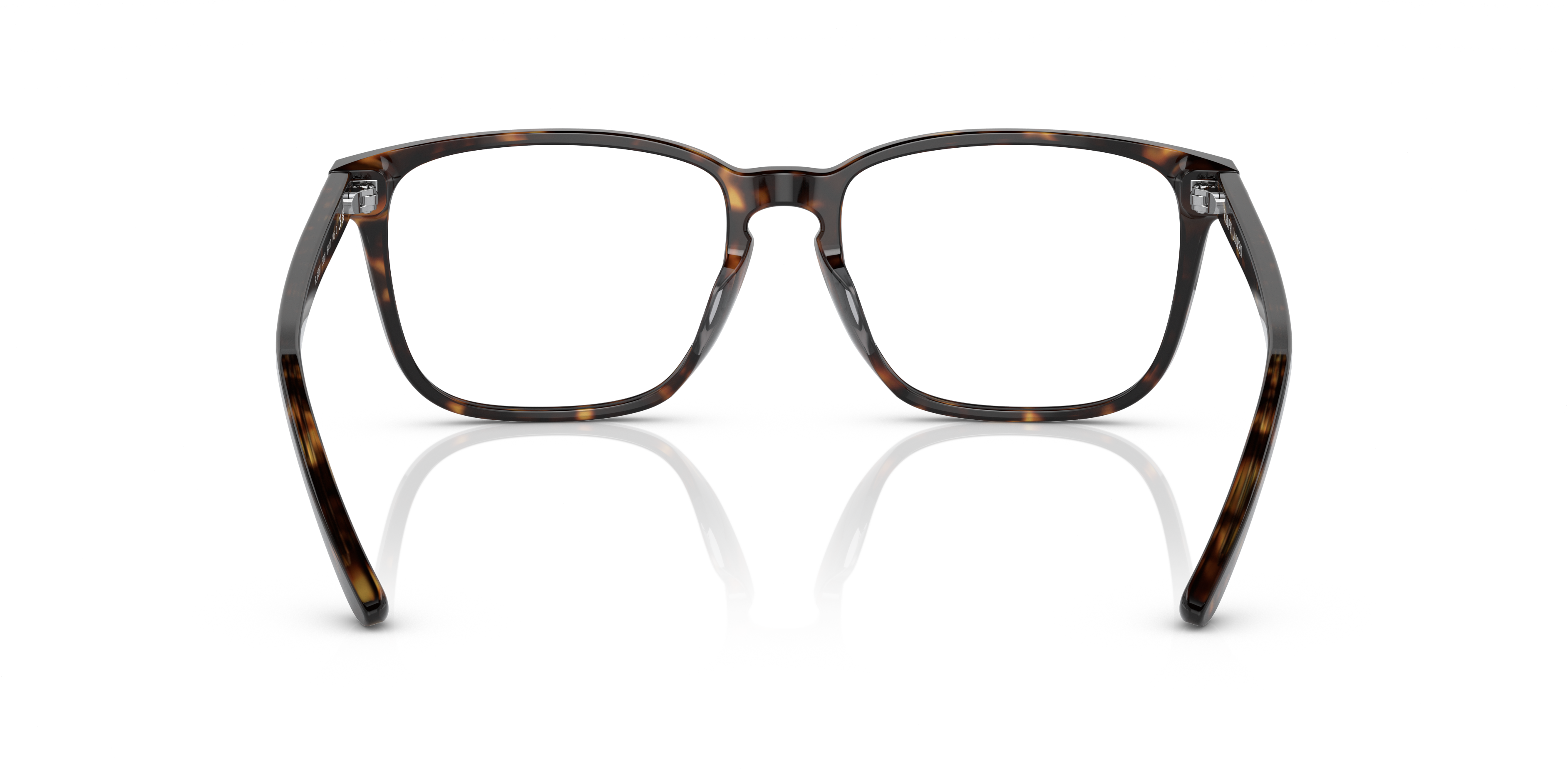 RALPH LAUREN RL6226U 5003 54