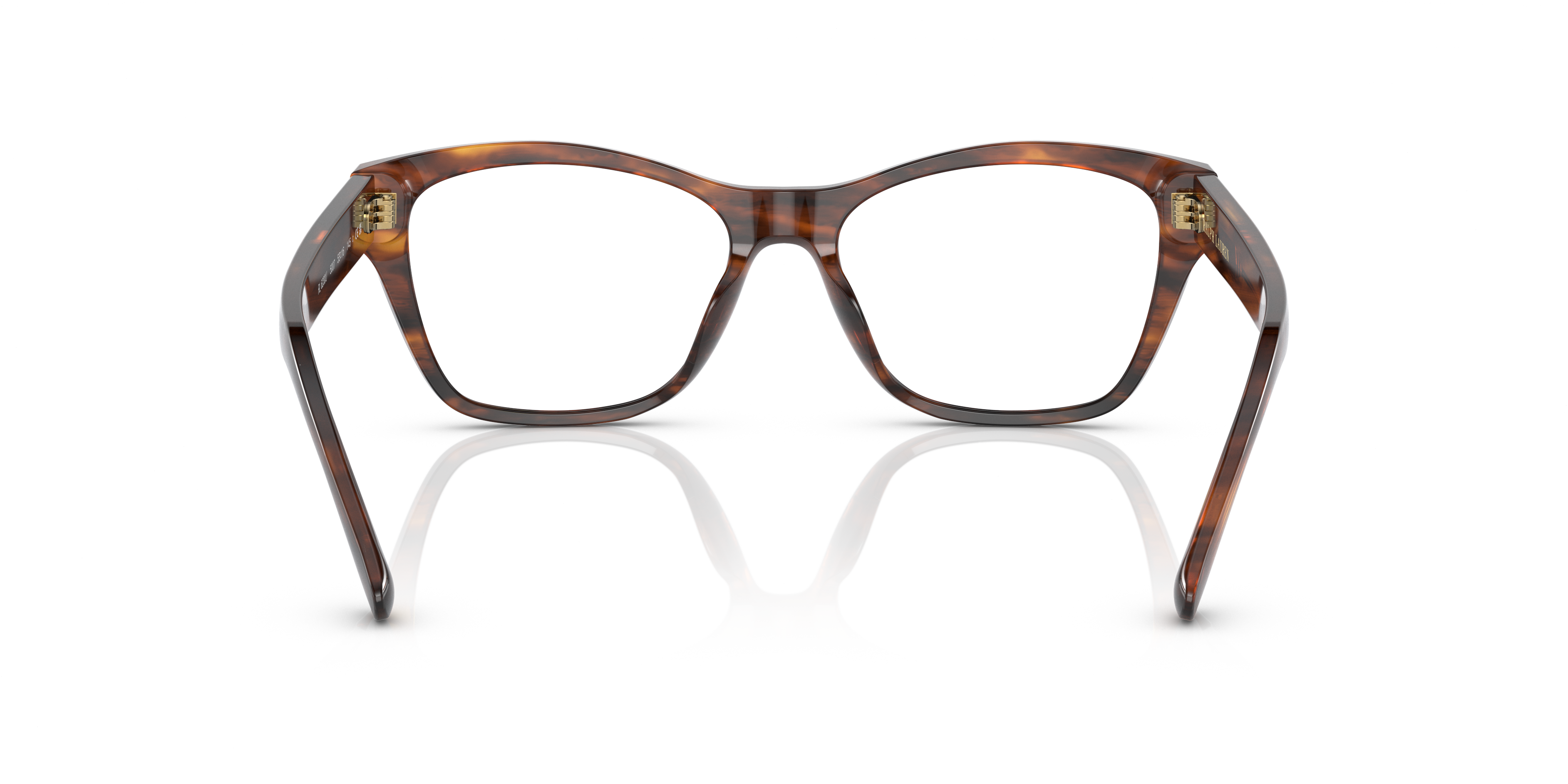 RALPH LAUREN RL6230U 5007 53