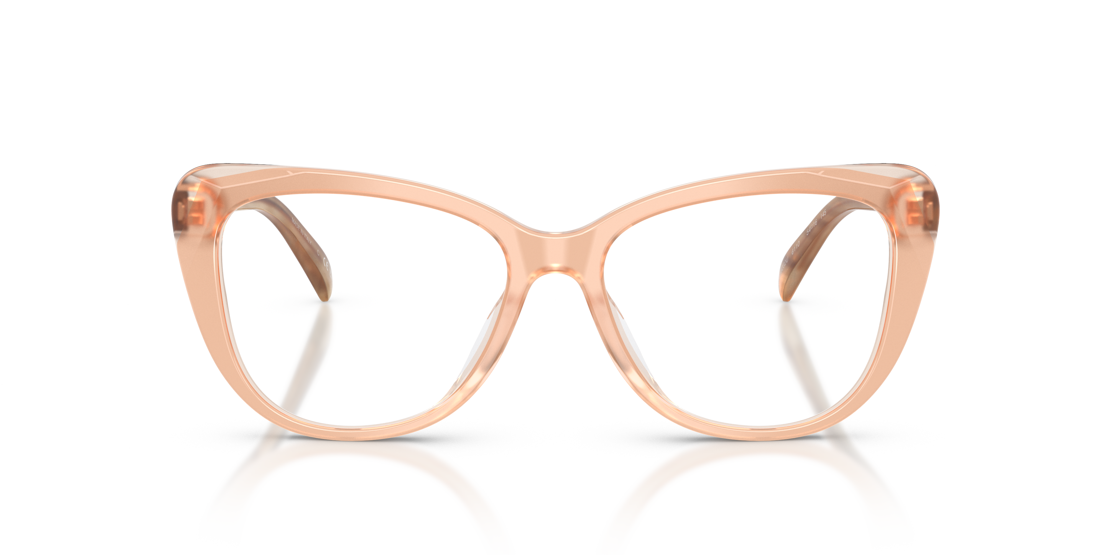 RALPH LAUREN RL6232U 6110 54