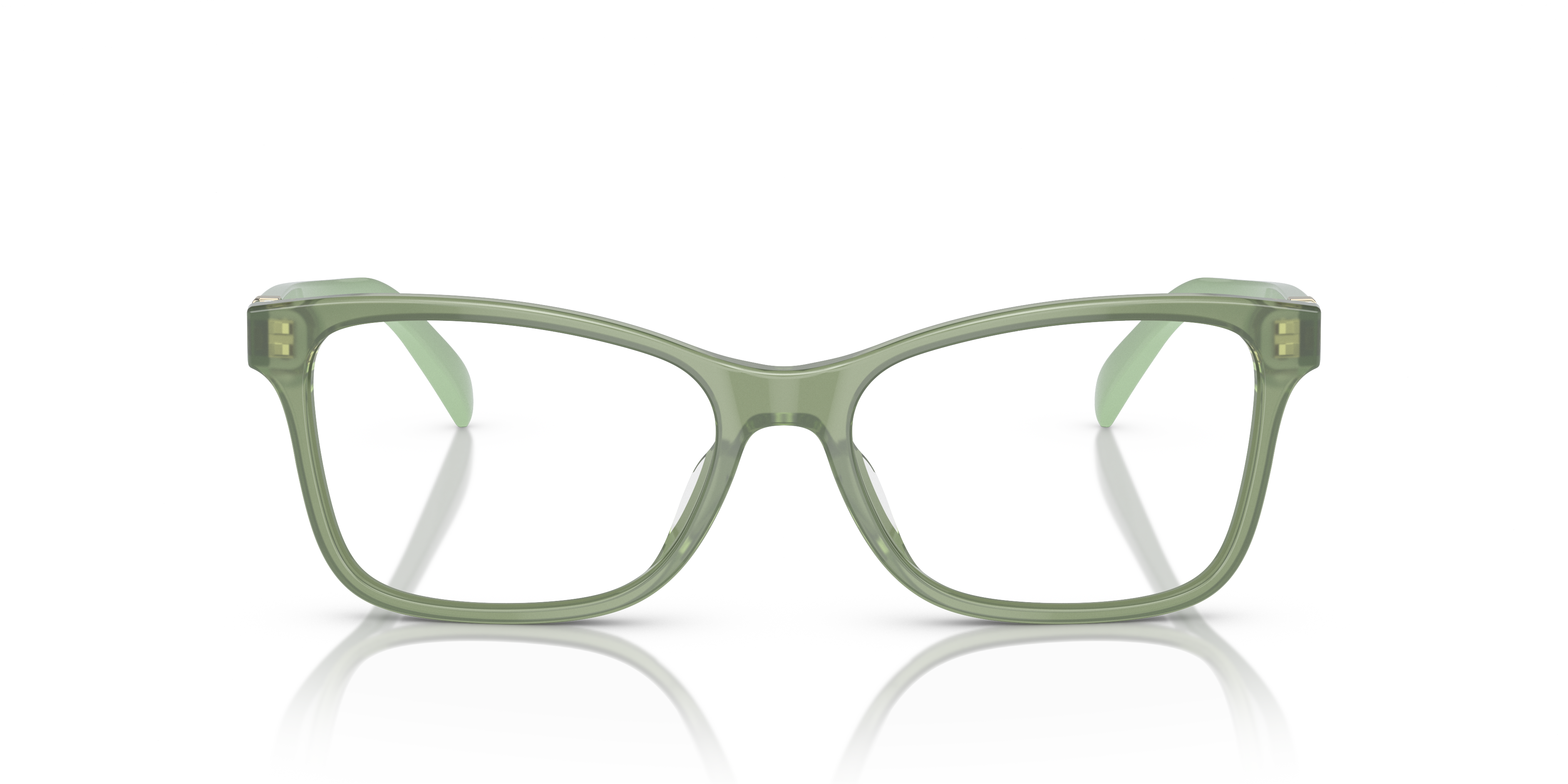 RALPH LAUREN RL6233U 6049 54