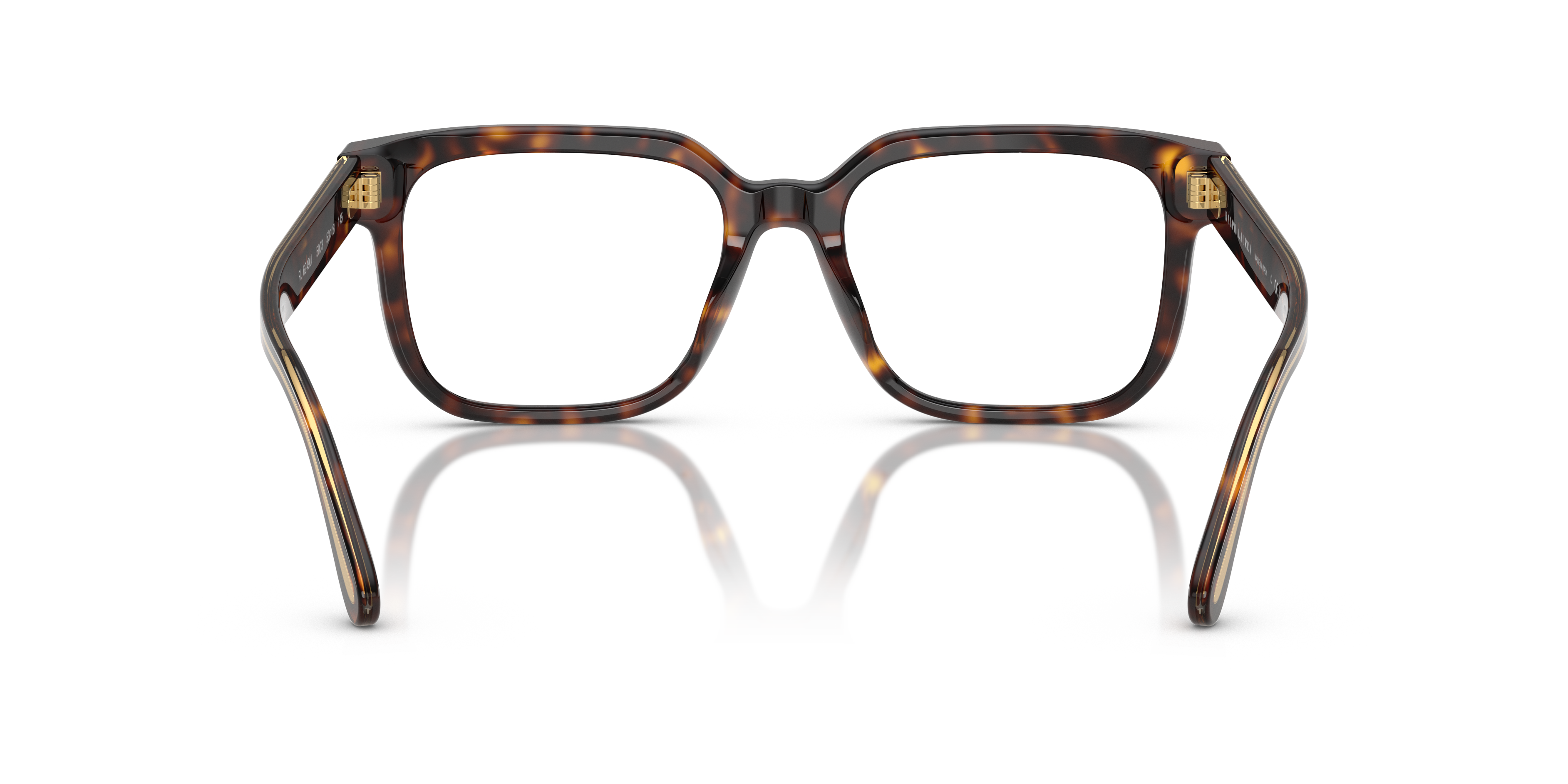 RALPH LAUREN RL6249U 5003 53