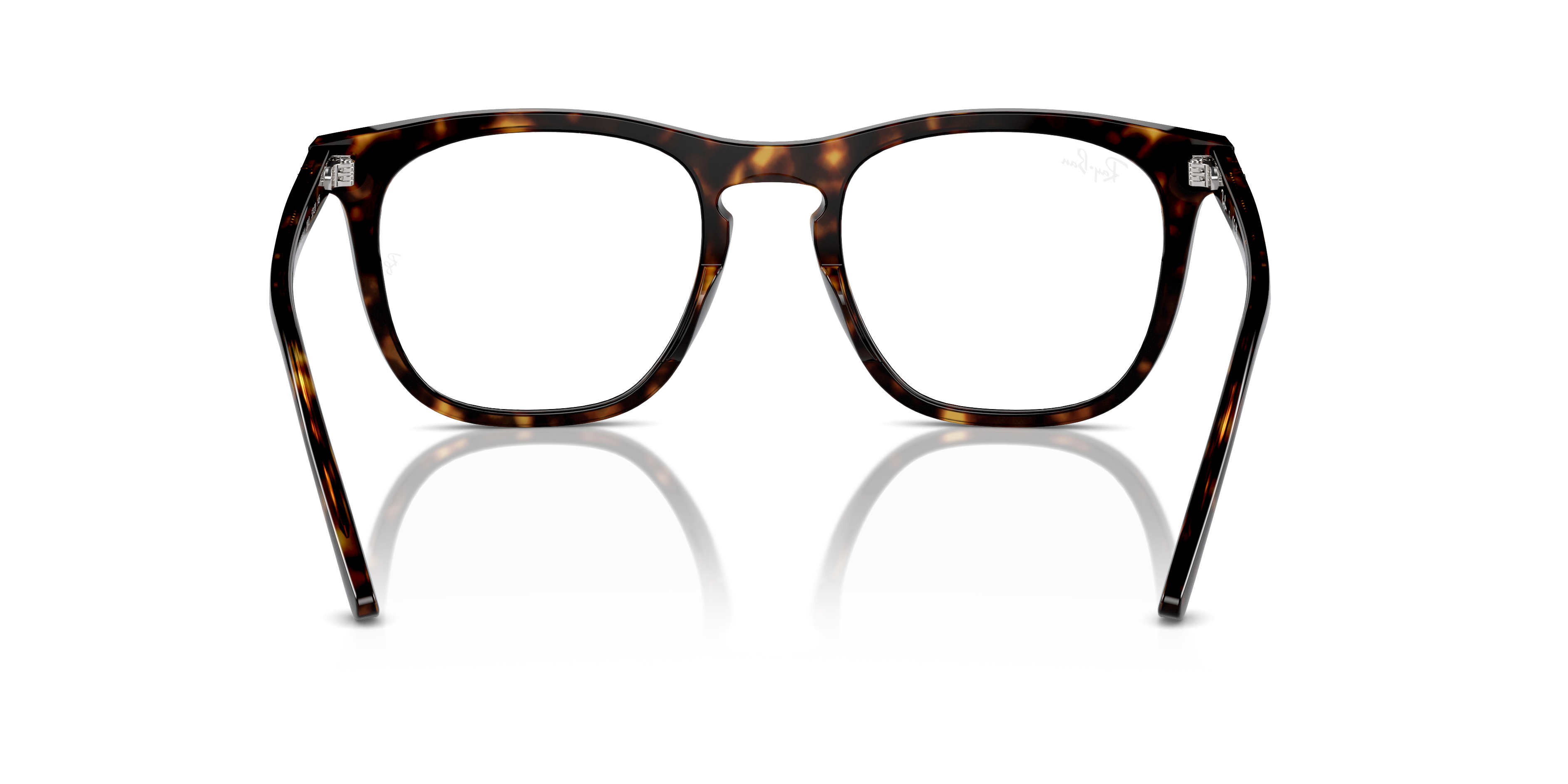 RAY-BAN RX2210V 2012 51