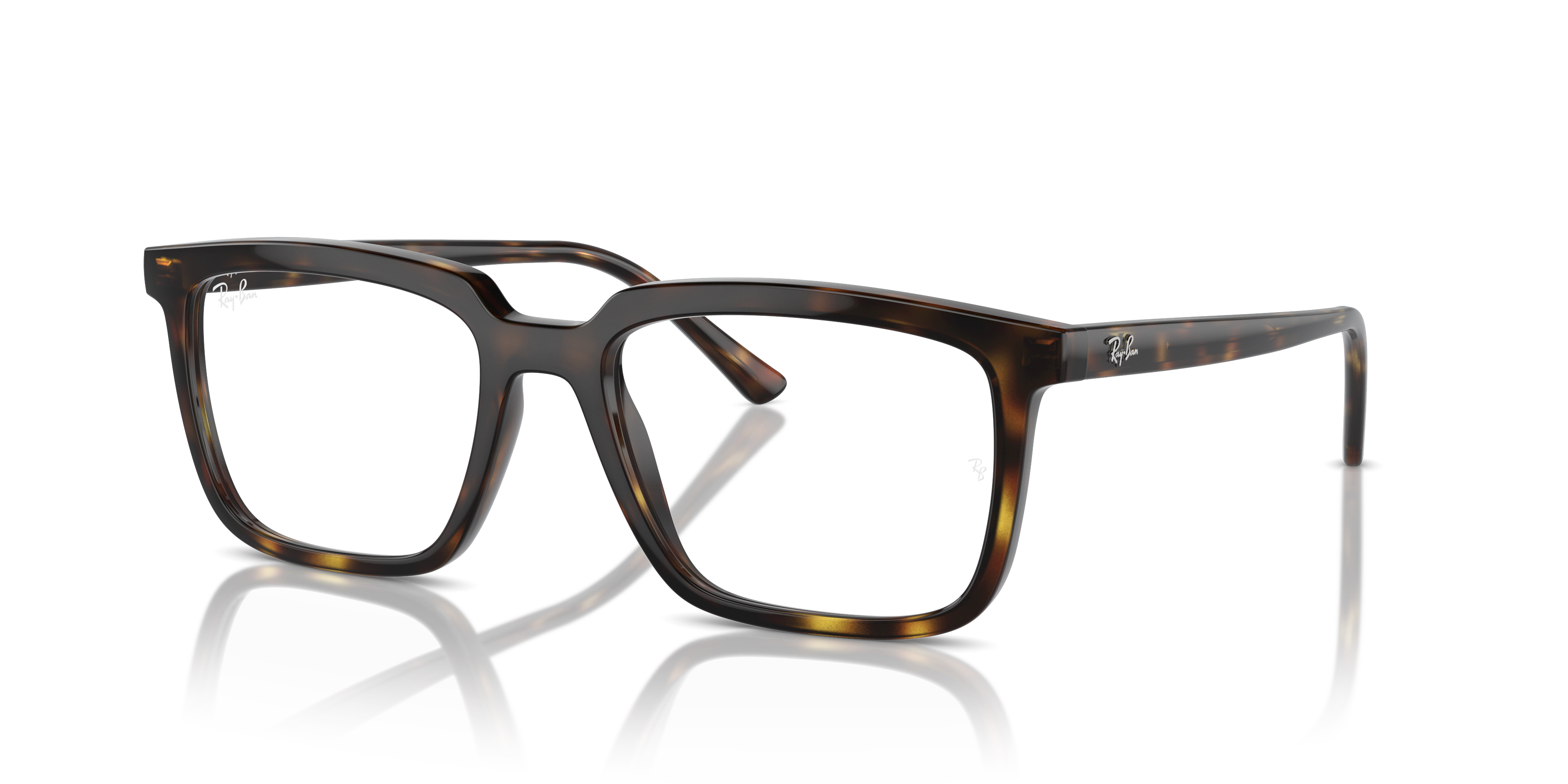 RAY-BAN RX7239 ALAIN 2012 52