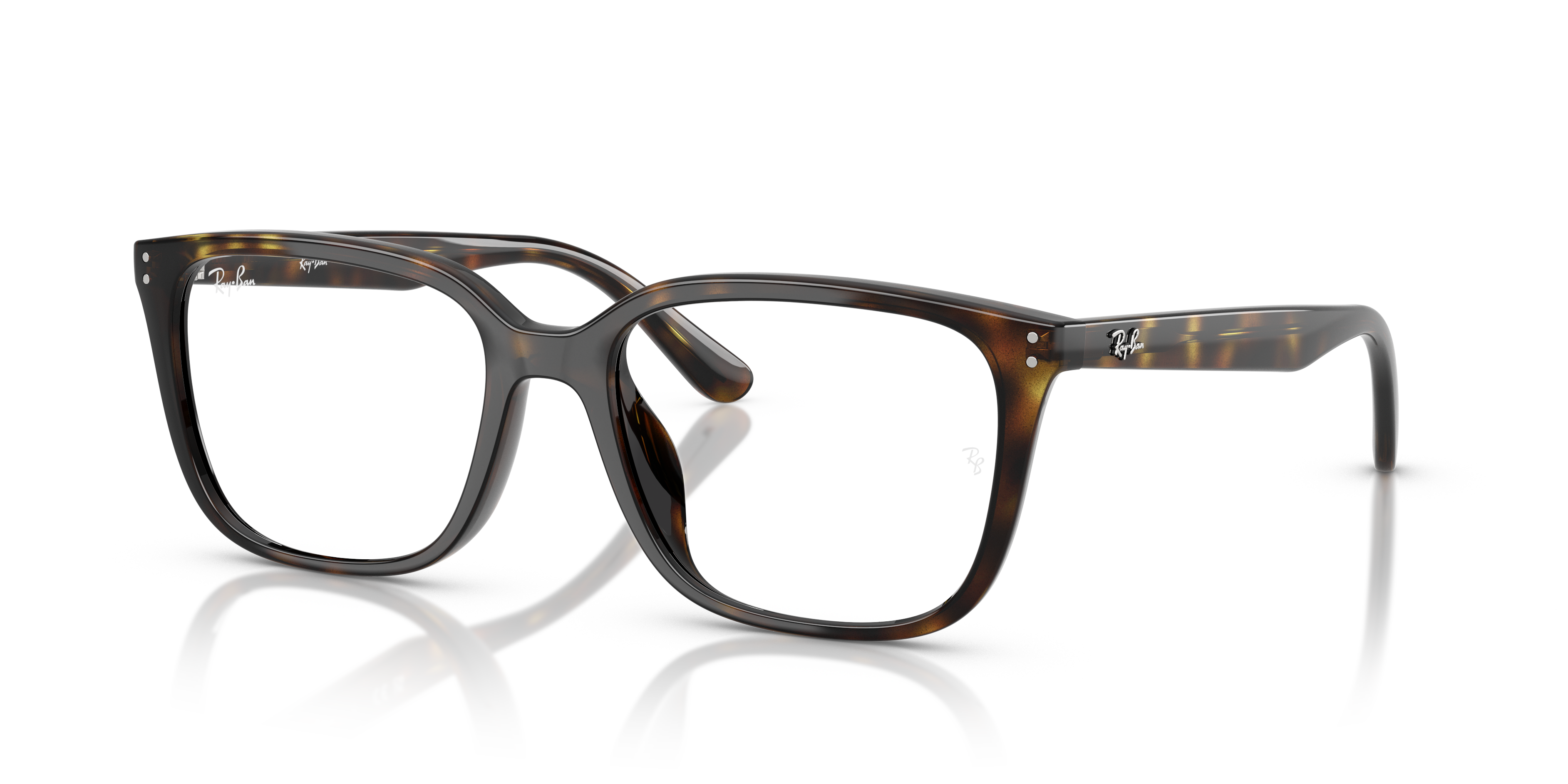 RAY-BAN RX7248D 2012 55