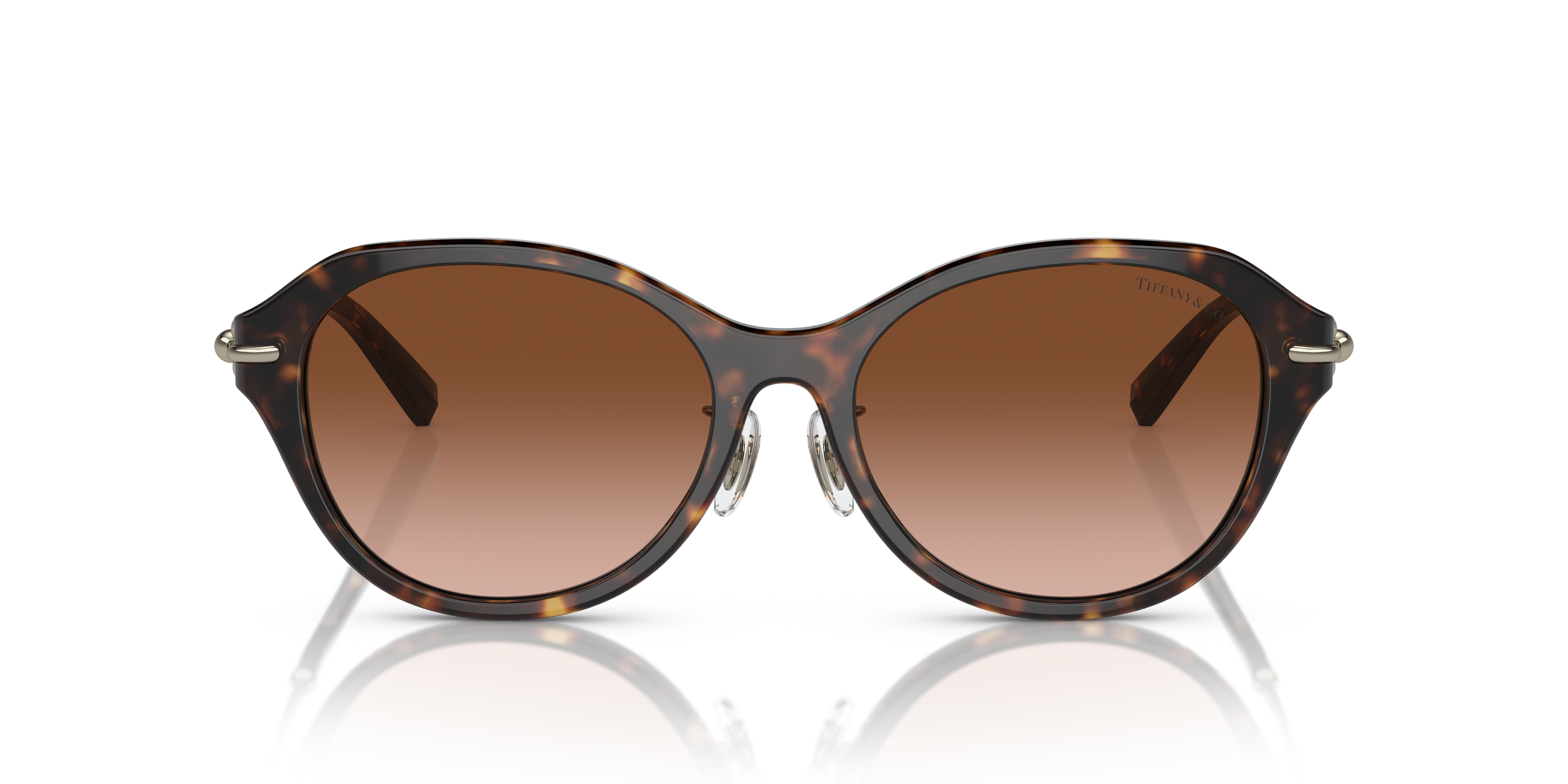 TIFFANY TF4210D 80153B 54