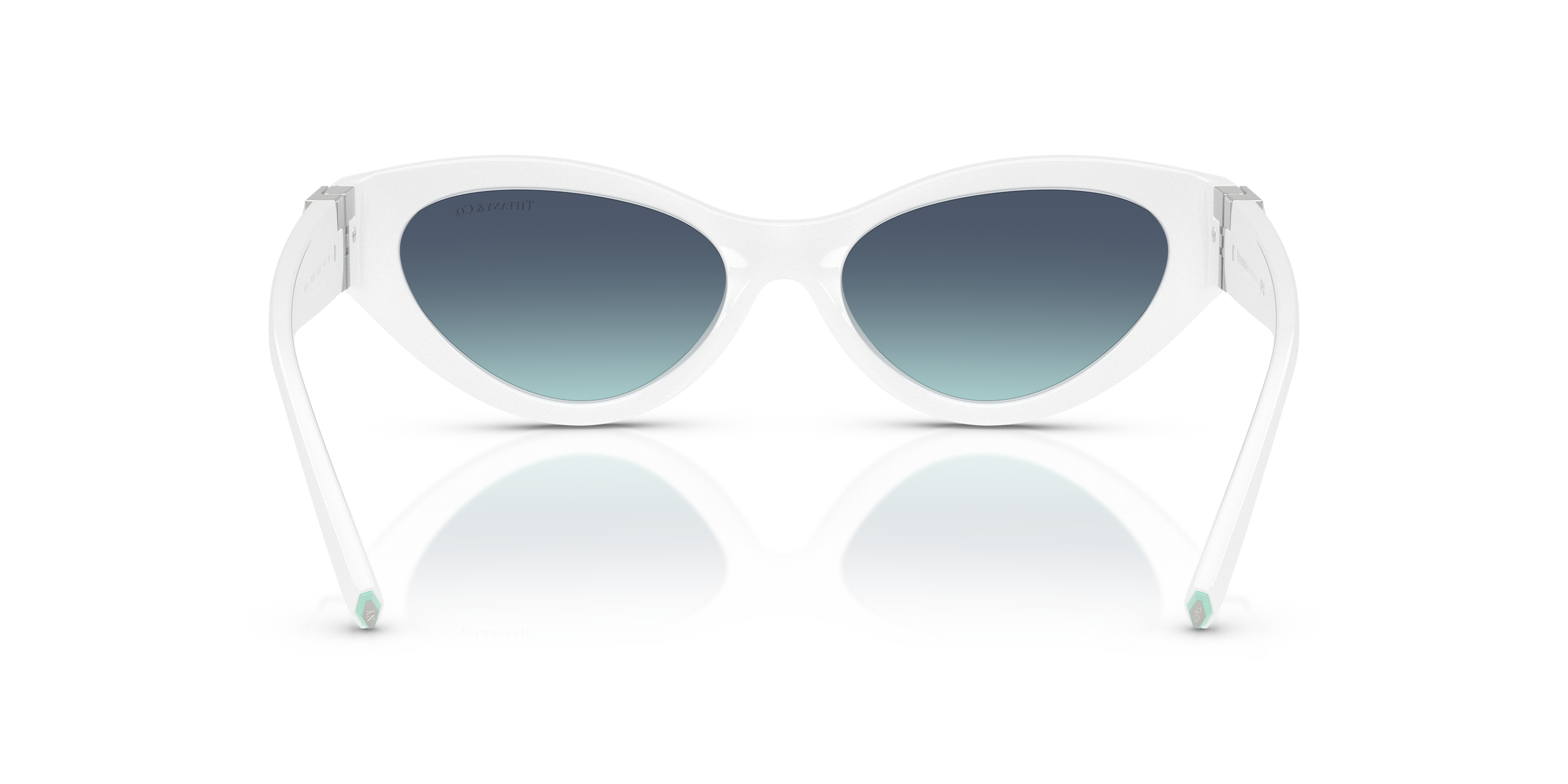 TIFFANY TF4225U 83929S 54