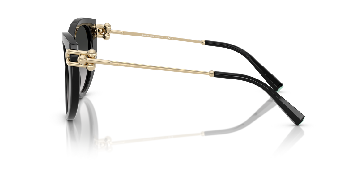 TIFFANY TF4232 80013C 53