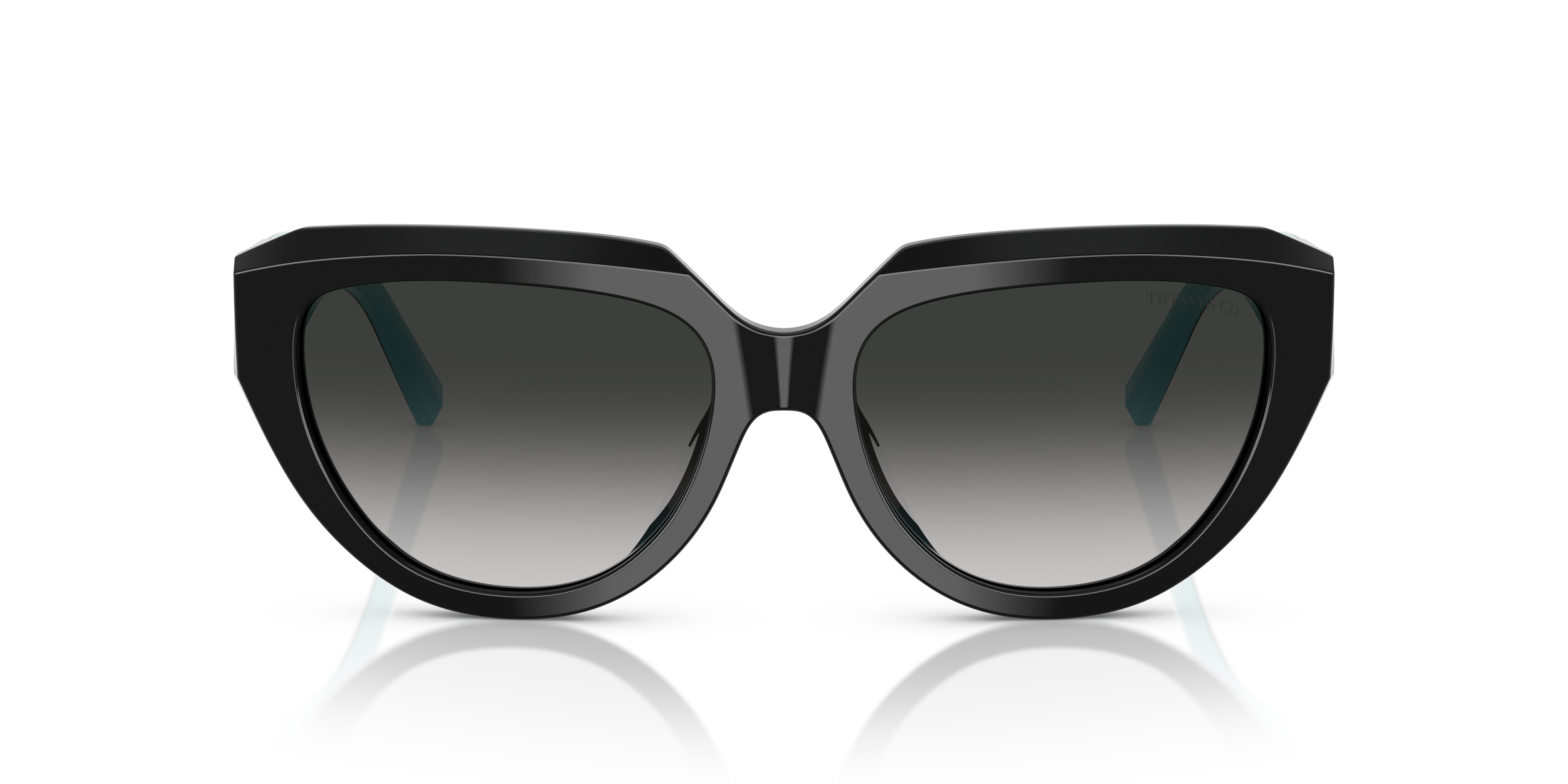 TIFFANY TF4238U 84653C 55