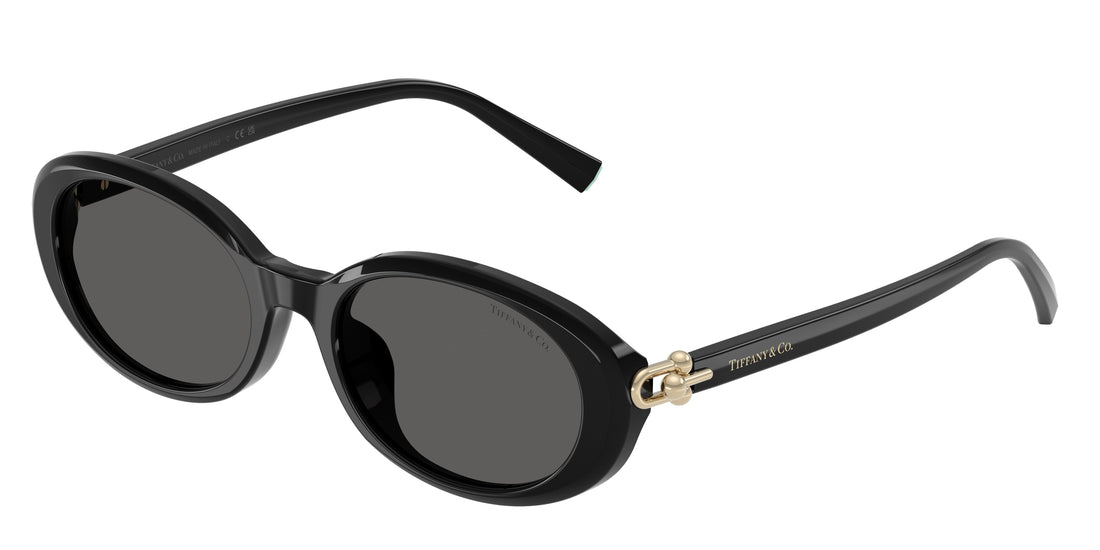 Occhiali da sole tiffany tf4242d 8361s4 negro oval femenina taglia 54mm - Vista principale