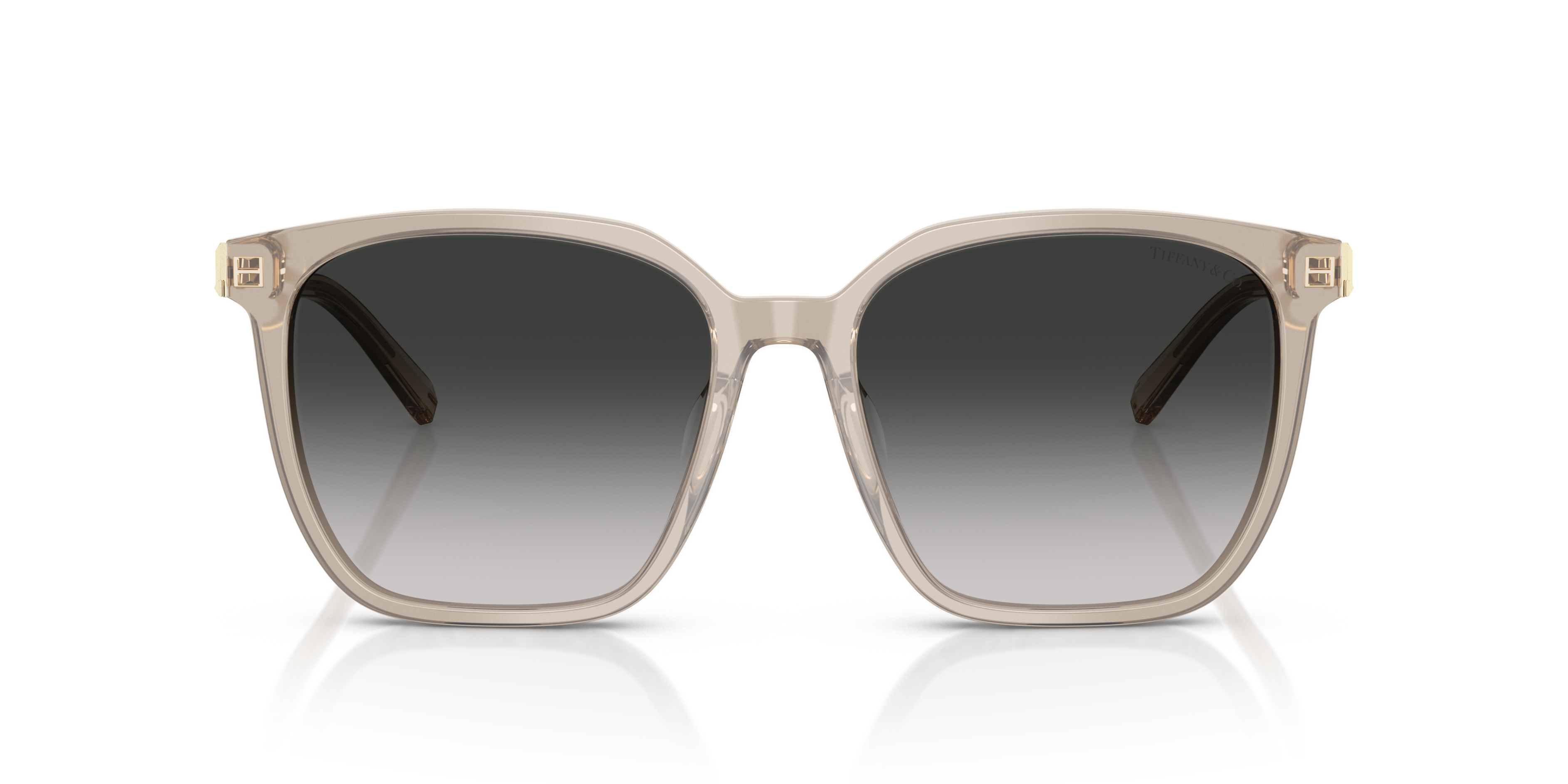 TIFFANY TF4244D 82503C 56