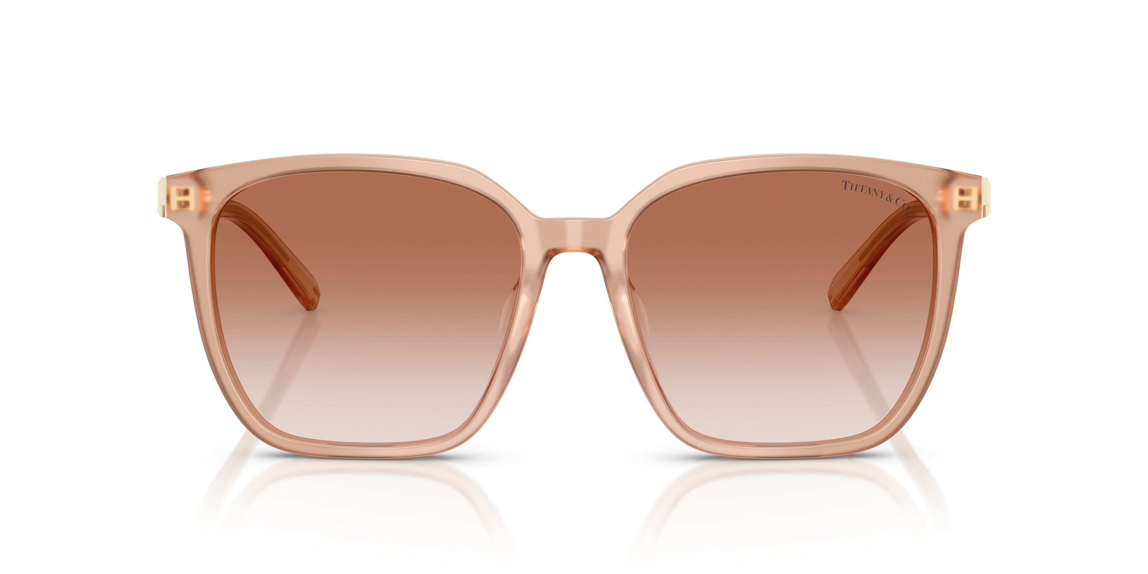 TIFFANY TF4244D 826813 56
