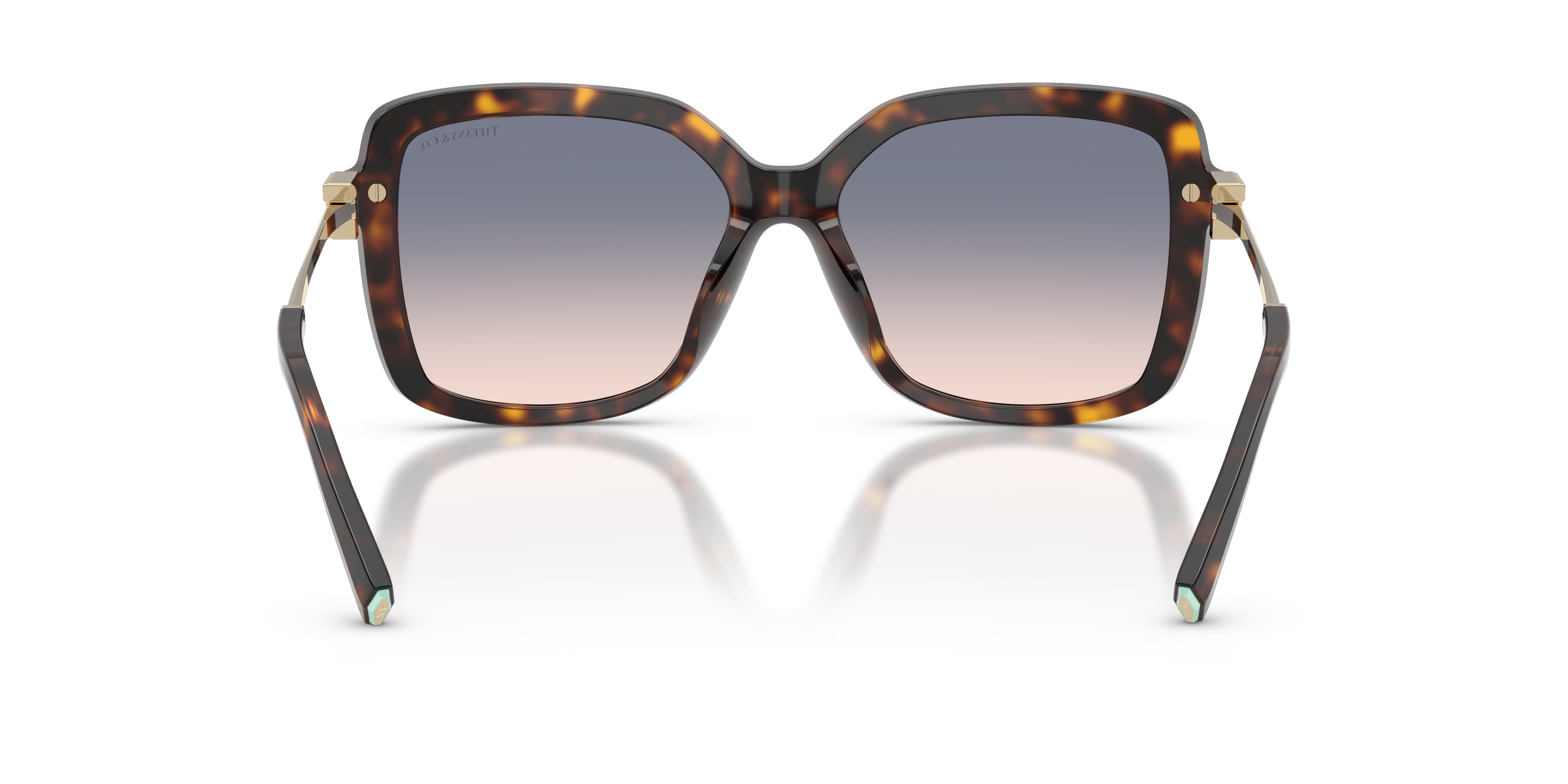 TIFFANY TF4252B 801516 55