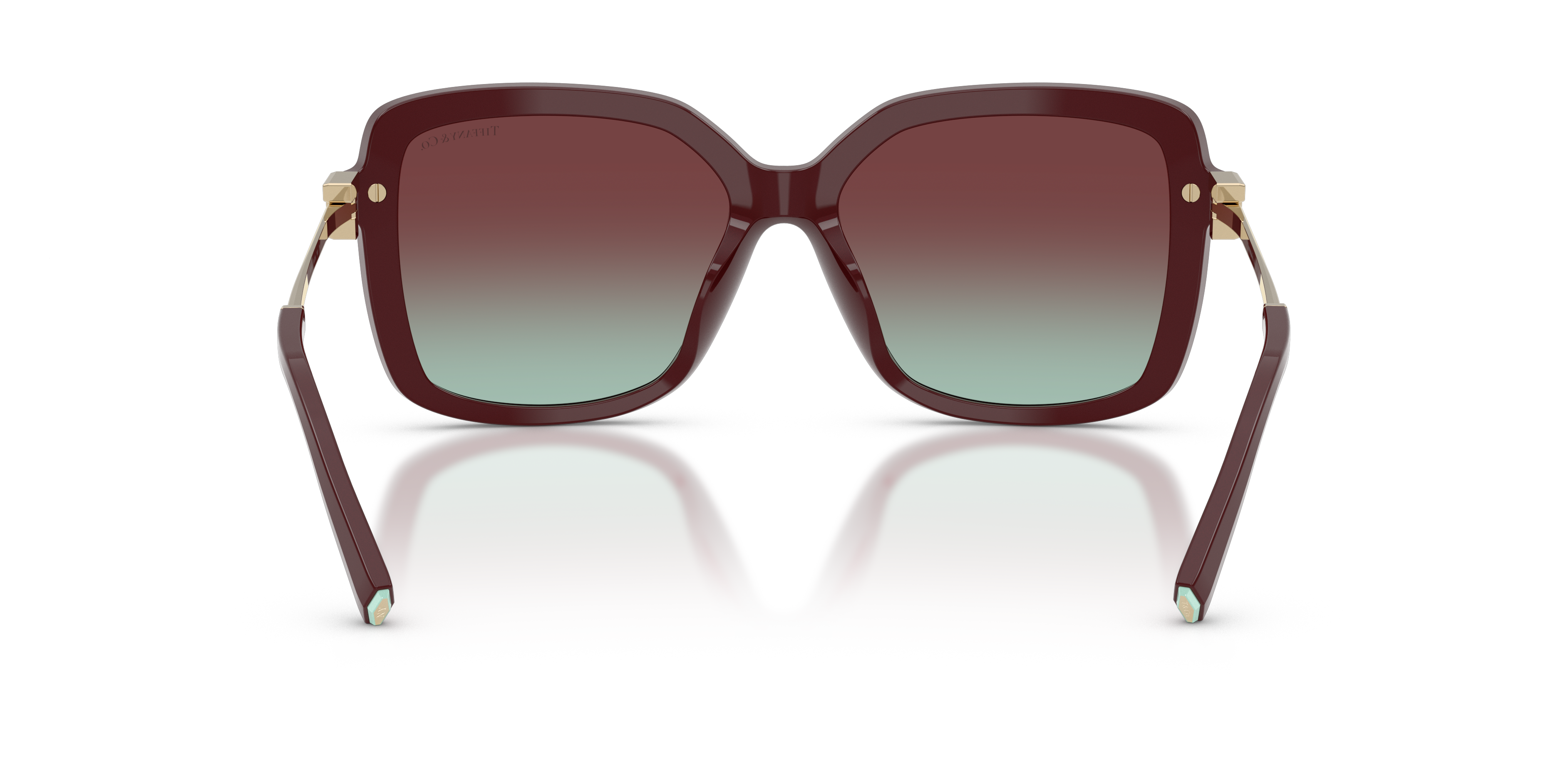 TIFFANY TF4252B 8389V5 55