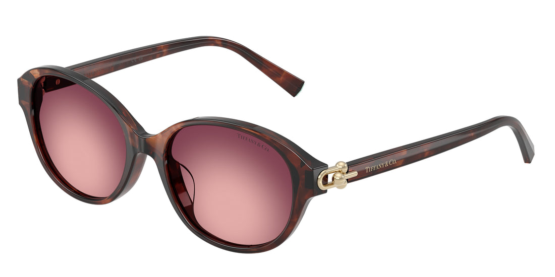 Óculos de sol tiffany tf4263d 84218h marron round femenina tamanho 54mm - Vista principal
