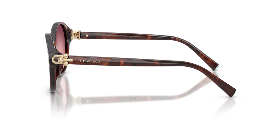 Óculos de sol tiffany tf4263d 84218h marron round femenina tamanho 54mm - Vista de detalhe