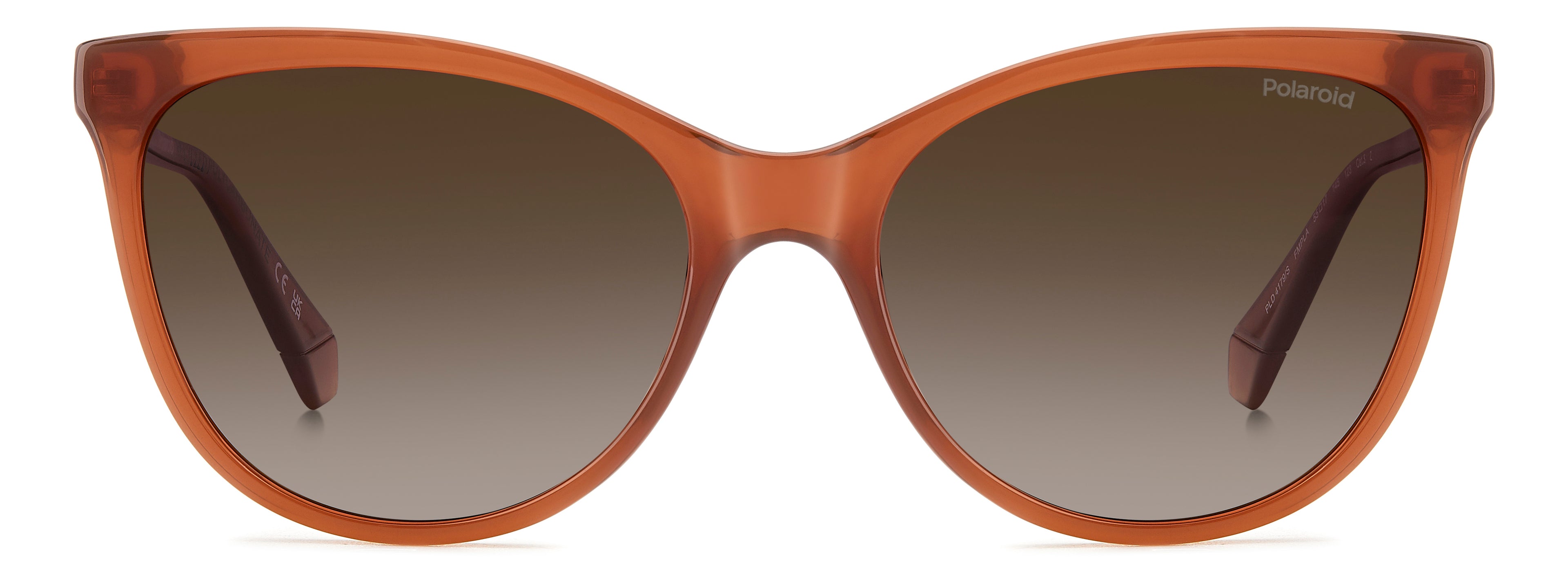 POLAROID PLD 4179/S FMP LA 55