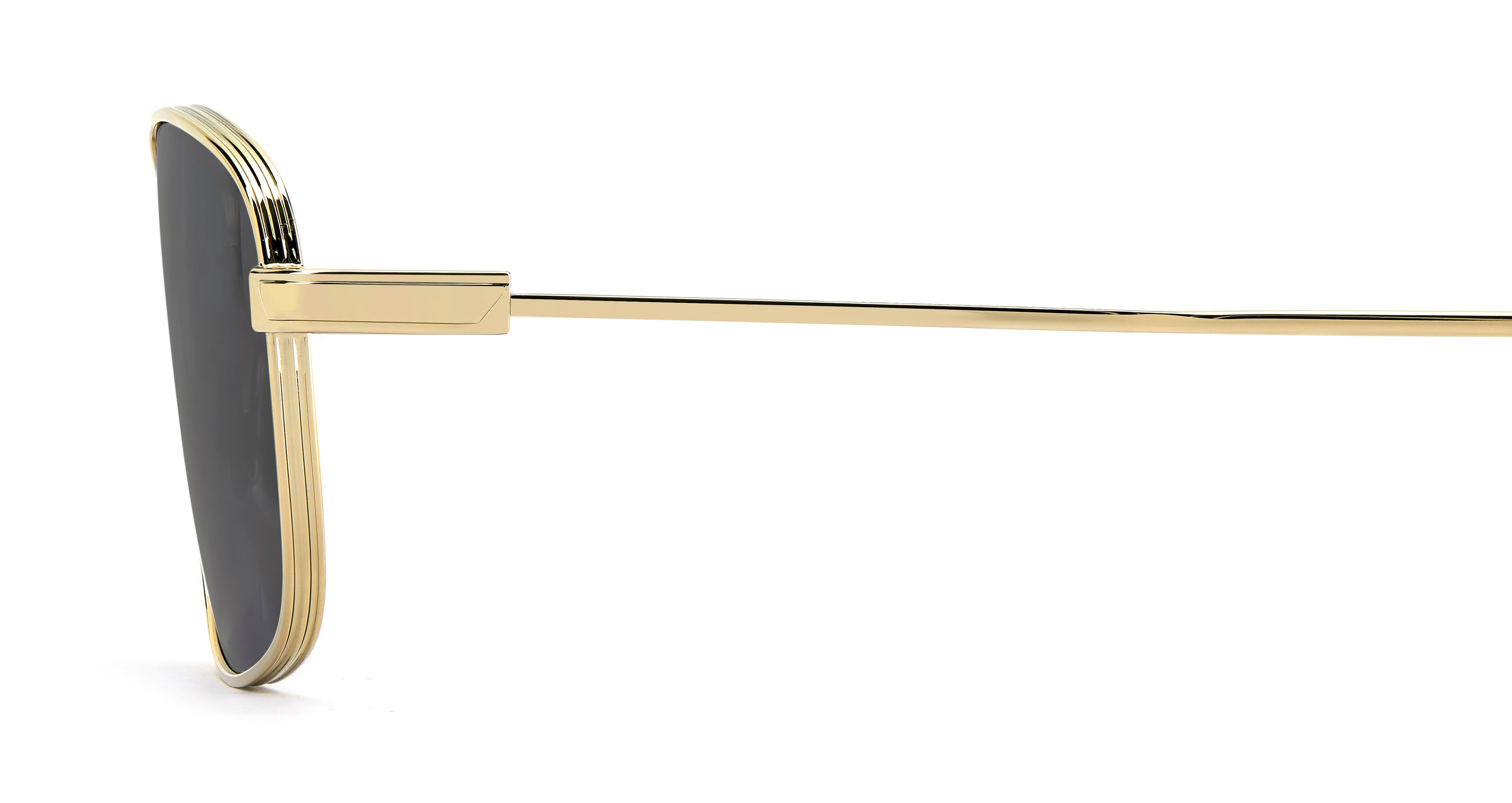 VICTORIA BECKHAM VB 1001/S RHL IR 55