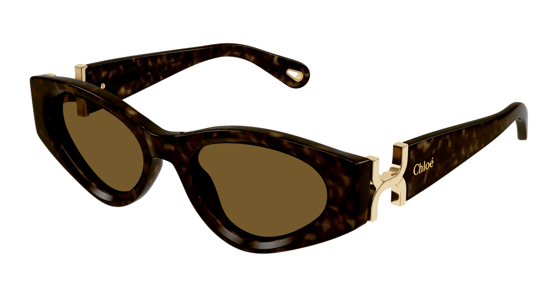 Lunettes de soleil chloé ch0259s 002 havana cat eye femenino taille 52mm - Vue principale
