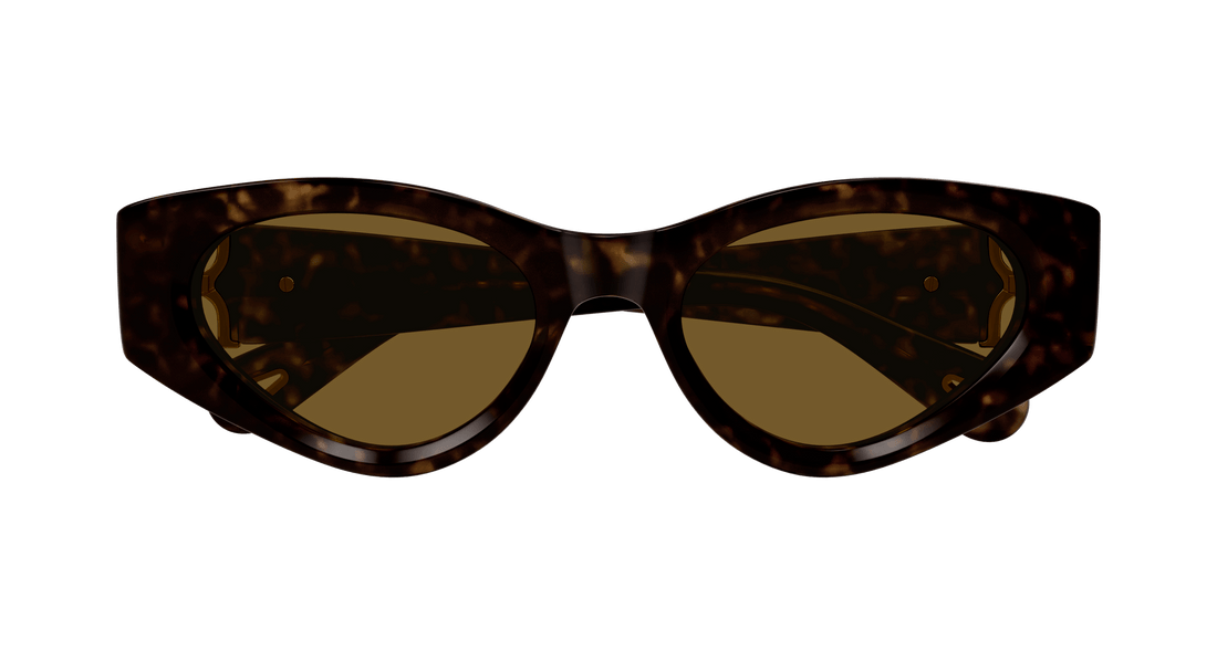 Lunettes de soleil chloé ch0259s 002 havana cat eye femenino taille 52mm - Vue détaillée