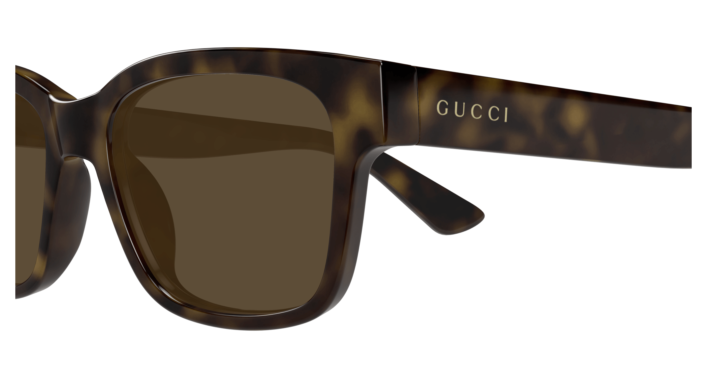 GUCCI GG1716S 002 54