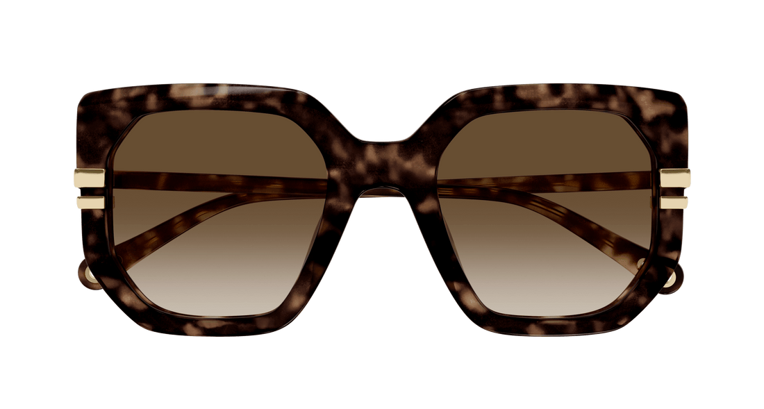 CHLOÉ CH0240S 002 53