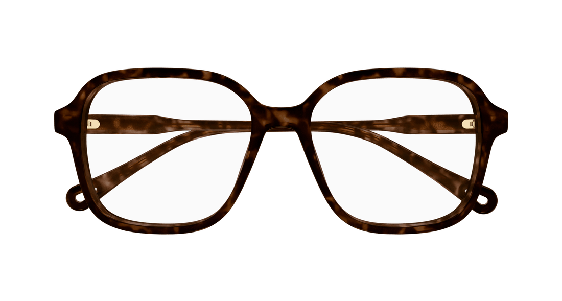 Prescription glasses chloé ch0313o 002 havana square femenino size 54mm - Detailed view