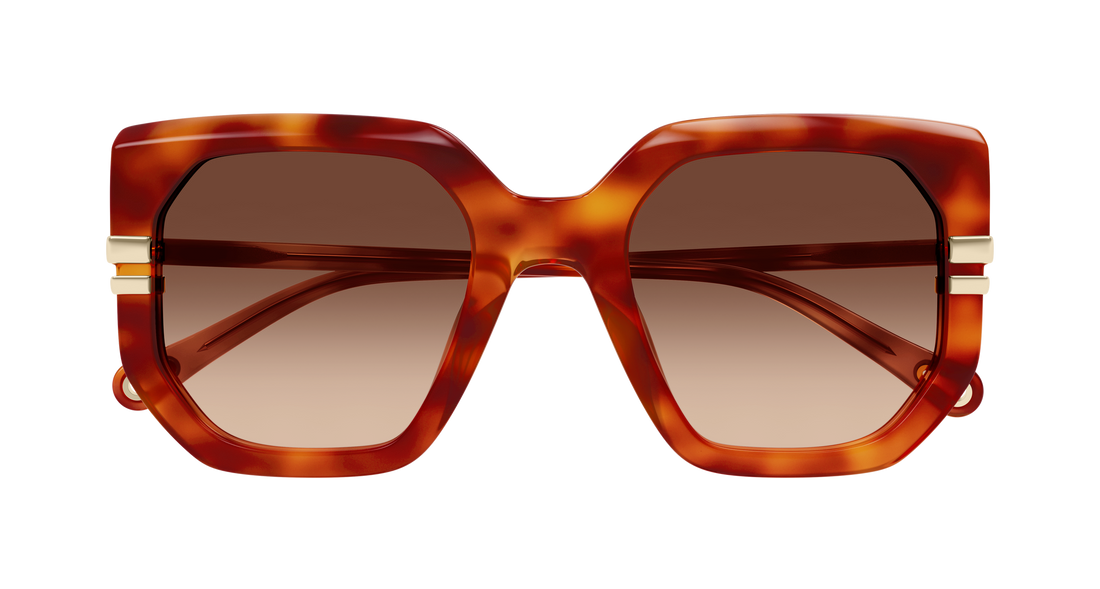 Gafas de sol chloé ch0240s 007 havana geometric femenino talla 53mm - Vista de detalle