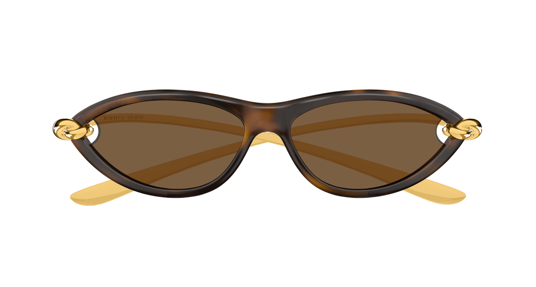 Sunglasses bottega veneta bv1390s 002 havana cat eye femenino size 56mm - Detailed view