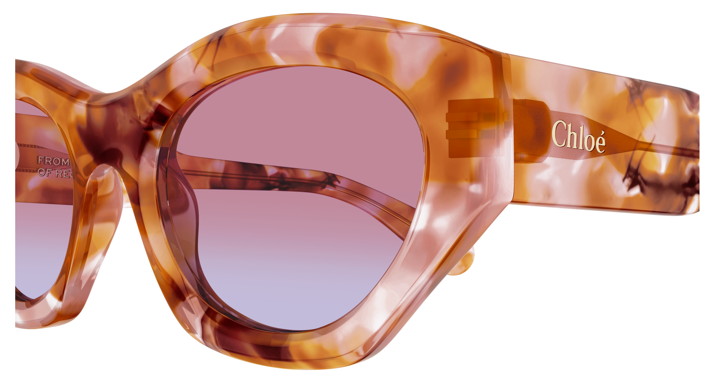 CHLOÉ CH0220S 013 53