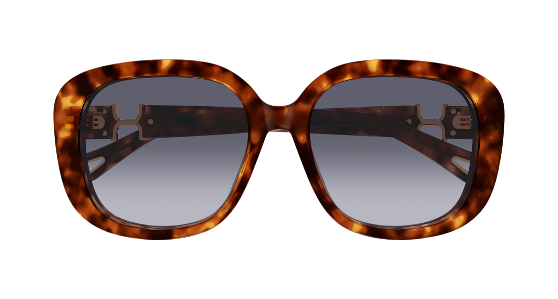 Gafas de sol chloé ch0303sk 002 havana square femenino talla 56mm - Vista de detalle