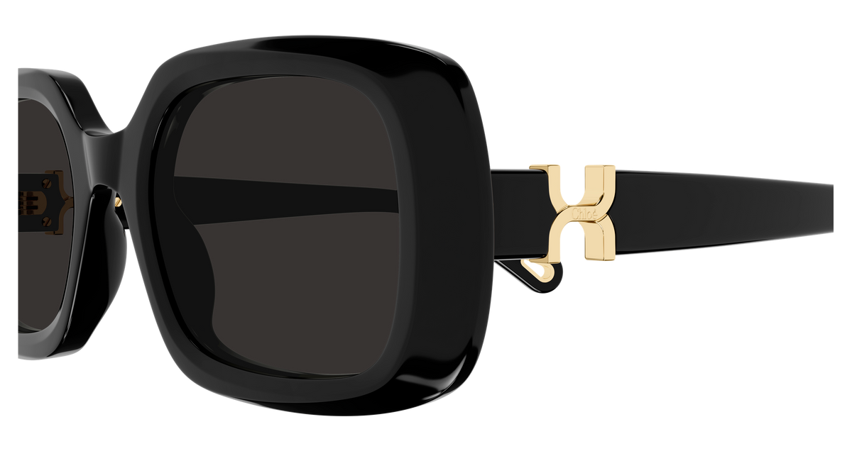 CHLOÉ CH0333S 001 53