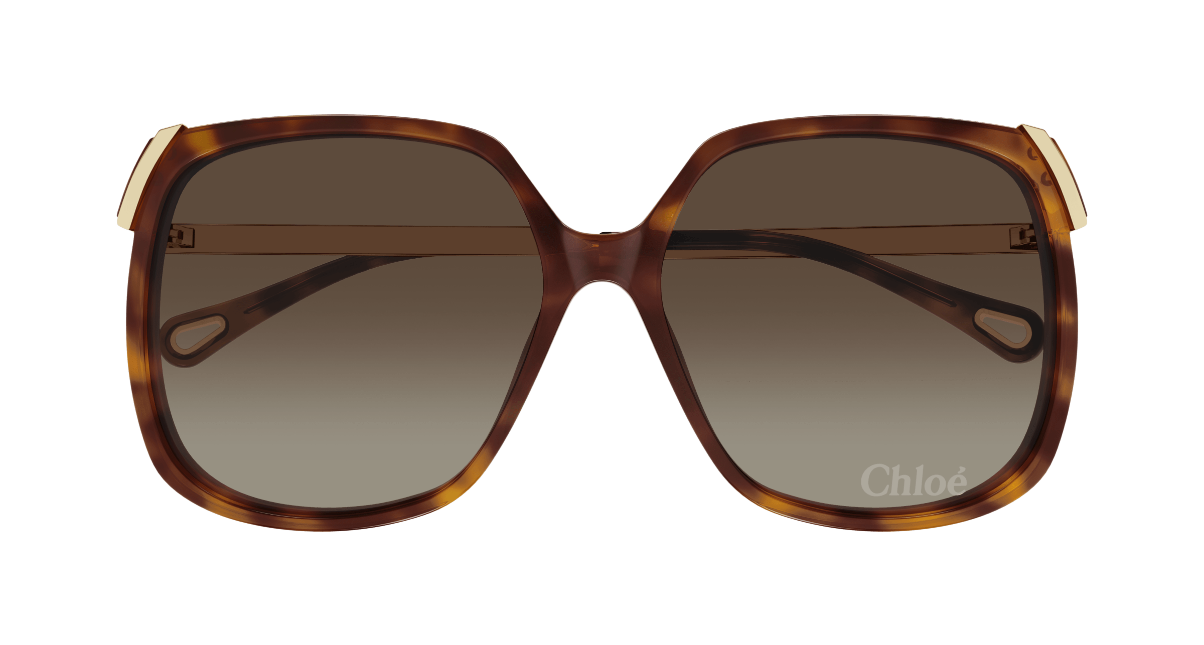 CHLOÉ CH0286S 002 60