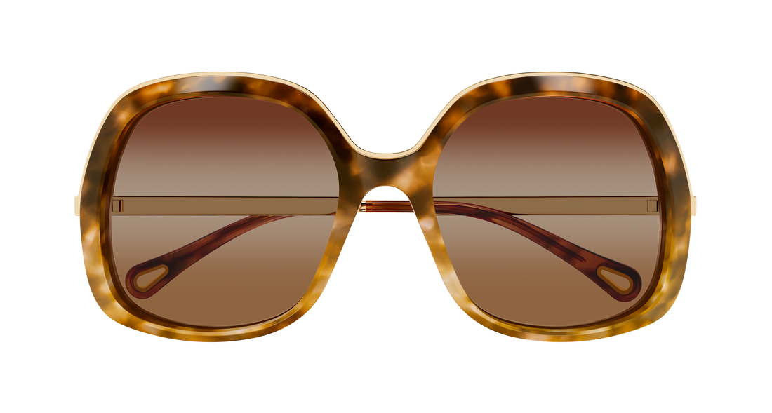Lunettes de soleil chloé ch0327s 002 havana rectangular / squared femenino taille 56mm - Vue détaillée