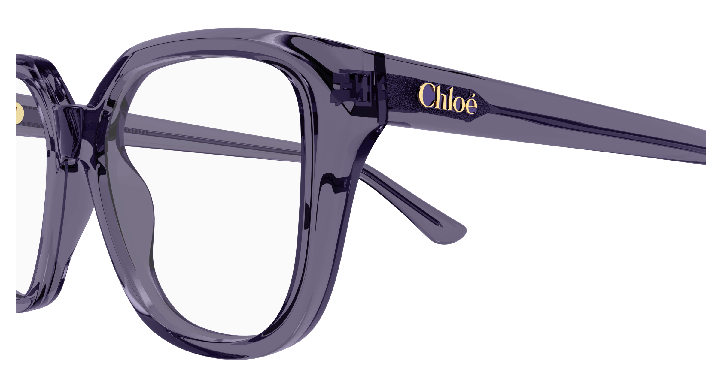 CHLOÉ CH0293O 004 53