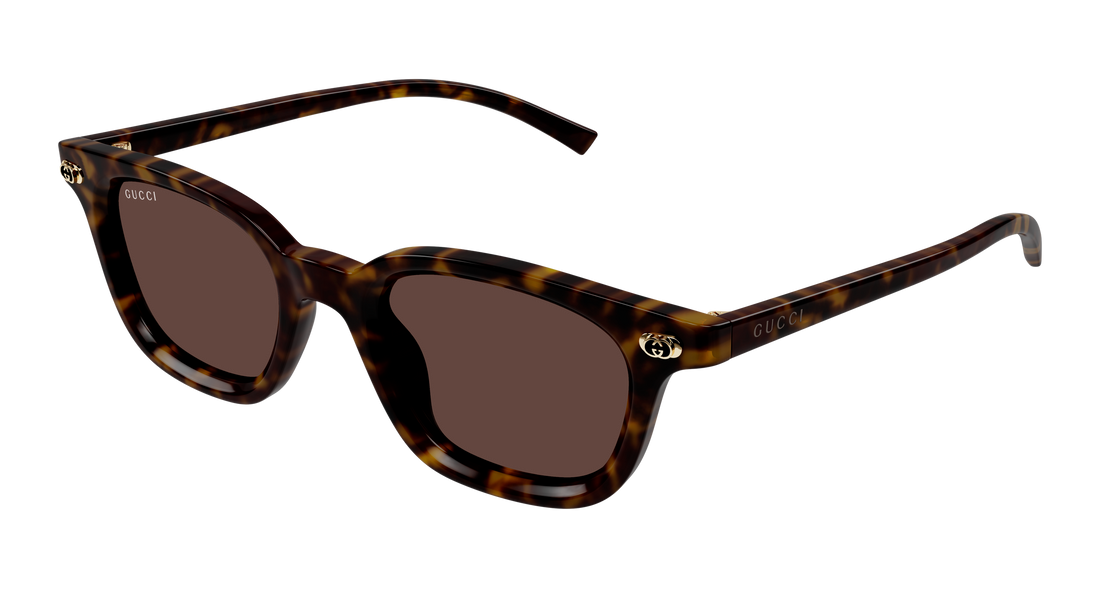 Gafas de sol gucci gg1946s 002 havana round/oval/panthos masculino talla 48mm - Vista principal